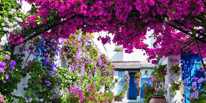 taxi-primavera-malaga